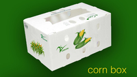 Boîte en plastique ondulé PP recyclable pour fruits et légumes frais, okra, emballage de manutention - Conception empilable