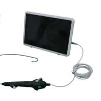 Cystoscope/urétéroscope jetable Haiye de 2,8/3,8/4,2/4,8 mm de diamètre, endoscope médical à usage unique pour vétérinaires, économique