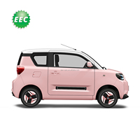 Mini cyclomoteur électrique EEC haut de gamme pour l'Europe Boîte de vitesses automatique à 4 roues à grande vitesse Direction gauche Berline de mobilité plus durable