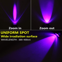 Lampu UV IPX5 tahan air untuk anjing, lampu UV 395nm led portabel 400nm Mini detektor untuk noda Urine hewan peliharaan