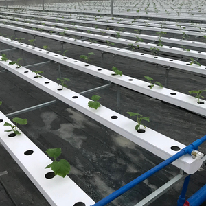 Sistema de Cultivo Hidropónico Vertical de PVC con Tubo Cuadrado para Fresas NFT Canales a Buen Precio Industrial - Product Image 3