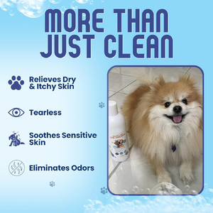 Champú Natural <span class=keywords><strong>para</strong></span> Perros y Gatos Sin Perfume, Alivia la Picazón en la Piel, Elimina Naturalmente los Olores Desagradables, Champú Concentrado de Avena <span class=keywords><strong>para</strong></span> Perros - Product Image 6