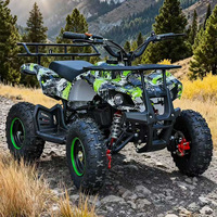 Kart tout-terrain pour enfants et adolescents, buggy tout-terrain, moteur à essence 2 temps 49cc, frein à disque hydraulique, kart d'extérieur tout-terrain