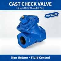 Vanne de régulation en fonte de type Y pour pipeline industriel DN32 1,2 pouces, filetage femelle, pour air/média abrasifs, anti-refoulement, Born Machinery