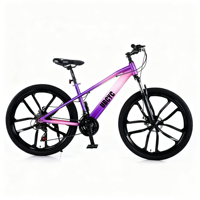 Vélo de montagne VTT pour hommes à prix d'usine, vélo de montagne en acier, vélo de plage 26 pouces, vélo de descente à pneus larges