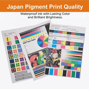 Tinta de Pigmento de Japón GD9630 Compatible para Riso Comcolor GD 9630 GD 7330 GD7330, Cartucho de Tinta de Impresora GD9630 GD de Comstar - Product Image 2