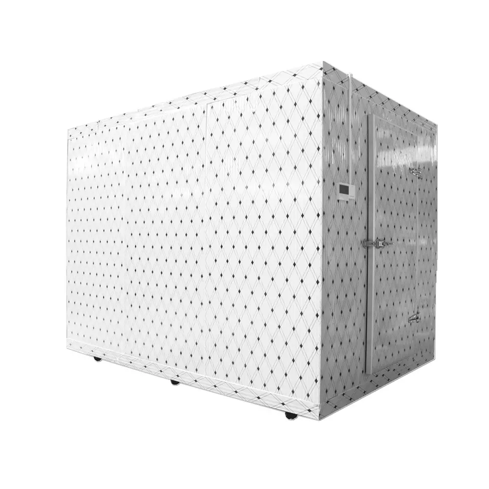 20ft mobil soğuk storesolar soğuk oda depolama konteyner chachafroide 10 hp makinesi de cire froide soğuk oda