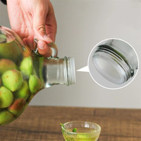 Grand récipient vintage de 1l 2l 3l 4l pour jus de fruits lait eau verre à fermenter bouteille de trempage de vin en verre avec poignée