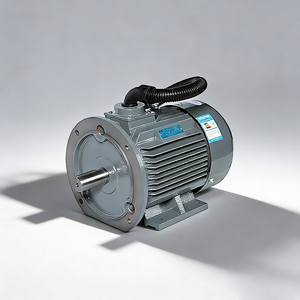 Motore Elettrico Asincrono <span class=keywords><strong>30HP</strong></span> 380V 440V 60Hz 1450RPM per Compressore a Pistone di Grande Capacità - Product Image 5
