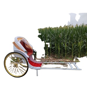 Rickshaw automatique à 2 roues Jinrikisha antique de haute qualité pour le transport spécial d'exposition à bas prix - Product Image 4