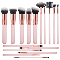 Ensemble de maquillage de luxe 14 pièces en poils synthétiques de qualité supérieure, manche en plastique, forme plate, haute qualité, marque privée, adapté aux voyages, pour le visage