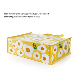 Chất Lượng Cao Khuyến Mại Tùy Chỉnh Mua Sắm Túi Tái Chế Nhiều Lớp Không Dệt <span class=keywords><strong>PP</strong></span> Chất Liệu Tái Sử Dụng Thân Thiện Với Môi Với In Logo - Product Image 4