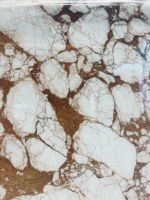 UnionStone Marbre Calacatta Bourgogne Poli de Qualité Supérieure avec Veines Dorées, Écologique, Durable, Grande Dalle pour Salon Moderne