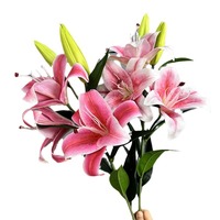 5 têtes de lys artificiels au toucher réel, faits à la main en soie douce, pour arrangements de mariage, fête des Mères et décoration de table à la maison