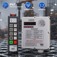 Télécommande radio industrielle étanche IP67 anti-interférence à 8 touches et double vitesse avec verrouillage de sécurité pour pièces de grue