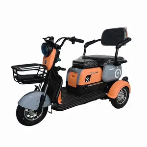 Triciclo eléctrico de 800W para el hogar, Scooter pequeño, triciclo eléctrico ajustable de tres asientos EEC