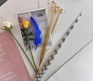 Plumes de faisan artificielles longues en gros, plumes de faisan Reeves, plumes de faisan pour costumes de carnaval - Product Image 5