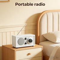 Radio portable OEM en gros avec logo personnalisé, certifiée CE, antenne longue haute sensibilité, 3 bandes AM FM SW, haut-parleur sans fil, USB TF MP3
