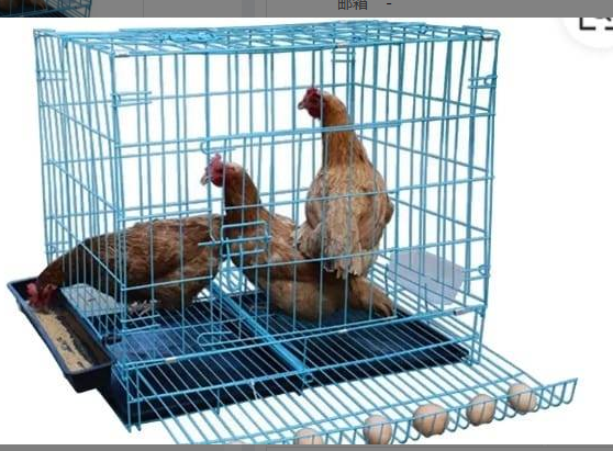 Jaula para pollos 70*50*57