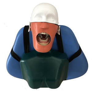 Modèle de tête dentaire simple Jg C8 avec mâchoire détachable pour la pratique de la préparation dentaire, équipement de formation - Product Image 2