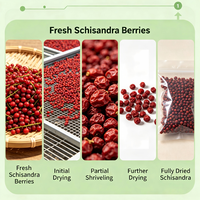 Gedroogde Schisandra-bessen (Schisandrae Chinensis Fructus), rauw kruidenfruit voor voedingssupplementen, dranken, cosmetica-extract, grondstof