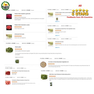Fresas liofilizadas a granel del fabricante <span class=keywords><strong>de</strong></span> China, piezas <span class=keywords><strong>de</strong></span> frutas agrias a bajo <span class=keywords><strong>precio</strong></span>, más vendidas, 5mm, liofilizadas - Product Image 6