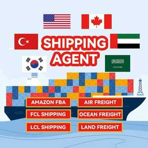 FCL Sea DDU DDP Agente de logística LCL Express Freight Forwarder China Xiamen Qingdao Tianjin a la ciudad de Guatemala Dominica <span class=keywords><strong>Caucedo</strong></span> - Product Image 1