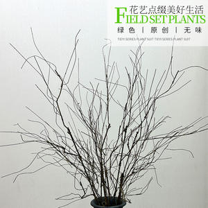 Branches et <span class=keywords><strong>vrilles</strong></span> <span class=keywords><strong>de</strong></span> vignes séchées simulées à des fins décoratives, y compris <span class=keywords><strong>de</strong></span> grandes branches <span class=keywords><strong>de</strong></span> corail, plantes grimpantes d'intérieur - Product Image 3