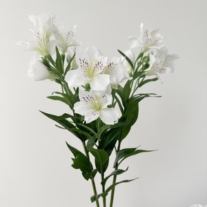 KEWEI 1671 <span class=keywords><strong>Fleur</strong></span> artificielle réaliste <span class=keywords><strong>Alstroemeria</strong></span> (lys péruvien) à longue tige en soie, fournisseur d'or, pour centre de table de mariage - Product Image 3