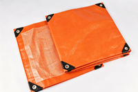 Bâche en PE de toutes couleurs, bâche en polyéthylène avec protection UV, tissu plastique en feuille de taille standard pour l'agriculture/l'industrie