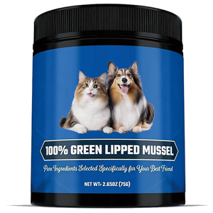 Polvo de Mejillón Verde 100% Natural en Tarro de 75g, Fuente de Omega 3 y Glucosamina para Perros y Gatos, Venta al Por Mayor - Product Image 1