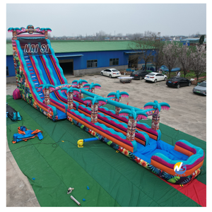 Toboggan aquatique gonflable <span class=keywords><strong>Aloha</strong></span> Splash Hibiscus Hawaïen pour adultes, en PVC, double piste, avec <span class=keywords><strong>piscine</strong></span>, usage commercial - Product Image 2