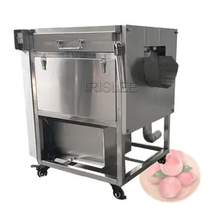 Large Fruit And Vegetable Washing Machine Industrial Household Type Fruit Washing Machine