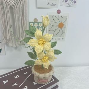 Flor <span class=keywords><strong>de</strong></span> Clematis en Maceta Hecha a Mano <span class=keywords><strong>con</strong></span> Ganchillo, Flor <span class=keywords><strong>de</strong></span> Tung Oil, Planta en Maceta <span class=keywords><strong>de</strong></span> Ganchillo, Decoración para el Hogar, Regalo para el Día <span class=keywords><strong>de</strong></span> la Madre - Product Image 6