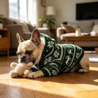 Pull pour chien personnalisable à double couche doublé de peluche, pull épais pour chien, vêtements pour animaux de compagnie