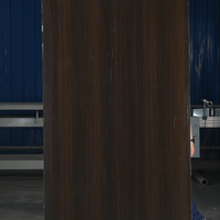 Lembaran HPL (High Pressure Laminate) 0.1-1mm Tahan Air Tahan Api untuk Panel Dinding Interior Kabinet