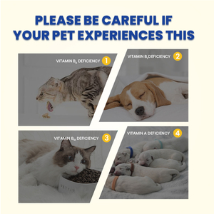 Las Mejores Golosinas Masticables Multivitamínicas Naturales para Perros y Gatos, Golosinas para Perros con Alto Contenido de Lecitina, Fáciles de Masticar, Digestibles, para la Salud de la Piel y el Pelaje - Product Image 4