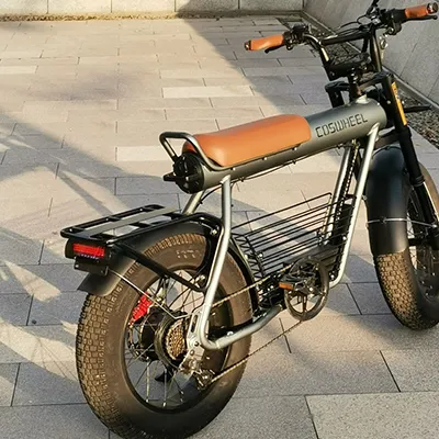 Sepeda Gunung Elektrik Sepeda Salju E Garansi Panjang Sepeda Penjelajah Sepeda Ebike 48V Velo Electrique Homm COSWHEEL Sepeda EMTB