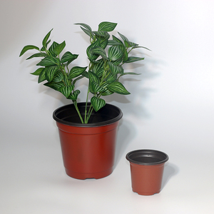 Personnaliser Flower Garden <span class=keywords><strong>Pol</strong></span> Plastic Jetable PP Chine Fabricant - Product Image 4