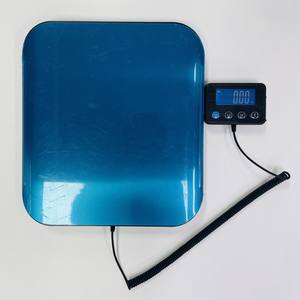 Báscula Logística Portátil de Acero Inoxidable de 200 kg, Báscula de Banco con Pantalla Independiente para Clasificación de Paquetes Pequeños, 150 kg, 180 kg - Product Image 1