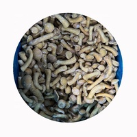 XMSD Champignons Nameko Lyophilisés Comestibles, en dés, en tranches, en morceaux, en blocs, en cubes, entiers, frais, sans sel ajouté - Disponible en gros