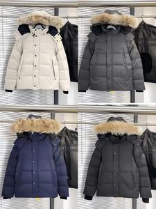 Giacca Invernale da Uomo in Piuma d'Oca Stile Classico di Alta Qualità, Calda, Antivento, con Vera Pelliccia di Coyote, Parka Canadese - Product Image 5