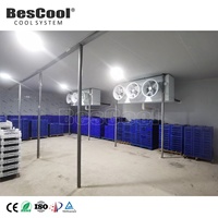 Cámara Frigorífica Comercial Personalizable de 4.7*3*2.7m con Sistema de Refrigeración Copeland, Control de Temperatura de -10~-20 Grados, Motor de 100mm