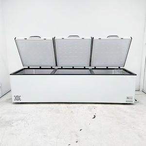 Freezer Dada Byron Kapasitas Tinggi Suhu Tunggal Pendinginan Langsung untuk Kebutuhan Penyimpanan Intensif - Product Image 2