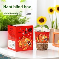 Kotak Kebahagiaan Tanaman Tahun Baru, Tanaman Pot Kecil, Hadiah untuk Siswa TK dan SD, Festival Musim Semi, Miniatur untuk Meja