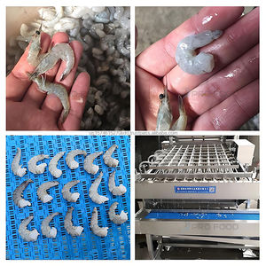 Máquina higiénica profesional de cáscara de Camarón, diseño compacto, removedor de cáscara de camarón - Product Image 2