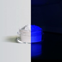 Pigment pour peinture automobile Pigment phosphorescent en poudre brillant dans la nuit Pigment en résine époxy