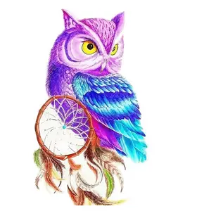 CHENISTORY 992202 DIY Painting By Numbers Colorful Owl Room Decoration Oil Painting Wall Pictures