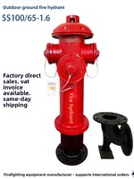 Borne d'incendie extérieure hors sol SS100/65-16