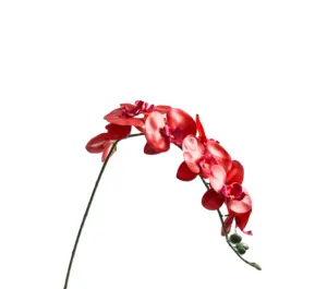Fiori artificiali sphalaenopsis, fiori artificiali, orchidee decorative, decorazioni di nozze di festa, fiori